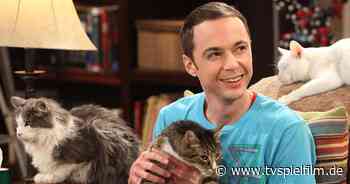 Für 'The Big Bang Theory' ging Sheldon-Darsteller Jim Parsons durch die vierbeinige Hölle - TV Spielfilm