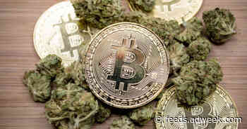 As Cannabis Legalization Expands, the Tech Firms Fueling Its Sales Are Exploding in Value