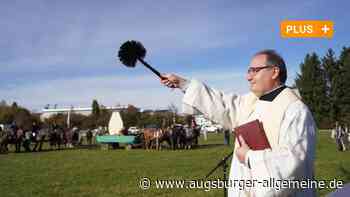 Zumindest das Wetter war prächtig beim Leonhardiritt in Weißenhorn