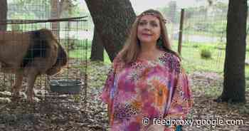 Carole Baskin sues Netflix to stop the release of Tiger King 2     - CNET