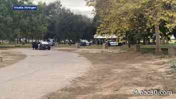 Man in critical condition after being stabbed at Visalia park, police say