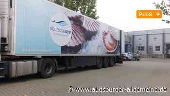 In Neu-Ulm liegt das Fisch-Drehkreuz des Südens - Augsburger Allgemeine