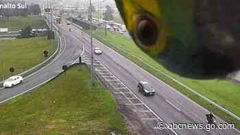 WATCH:  Parrot photobombs traffic camera in Brazil
