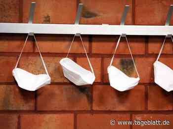 Lehrerverband: Schutzmasken im Unterricht sind „kleineres Übel“ - Landkreis Stade - Tageblatt-online