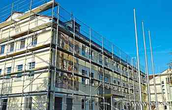 Taubenplage geht ins Geld - Garching/Alz - Passauer Neue Presse