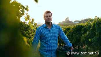 Wine producers eye alternative markets to avoid Chinese tariffs