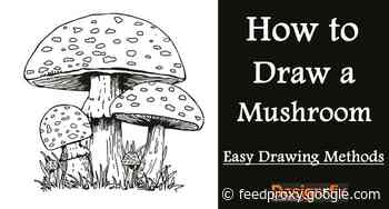 How to Draw a Mushroom