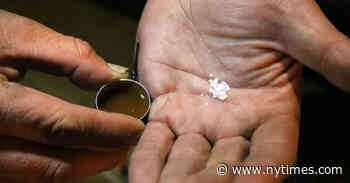 Book Review: ‘The Least of Us,’ by Sam Quinones