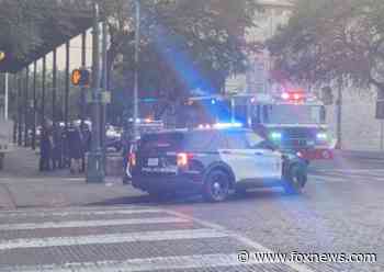 Austin, Texas, defunded its police department. Now voters will decide if city needs more officers - Fox News