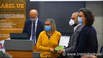 Ala "digitale" e premiata Emas per la sua rivoluzione - Trento Today