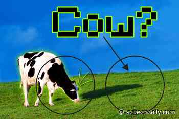 Avoiding Shortcut Solutions in Artificial Intelligence for More Reliable Predictions