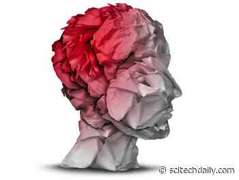 Signs of Dementia Are Written in the Blood: 33 Metabolic Compounds May Be Key to New Treatments