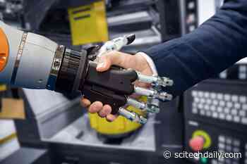 Works Well With Robots? The Way Robots/AI and Humans Interact