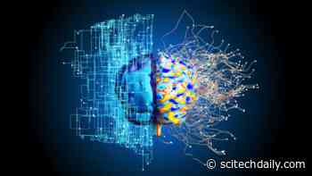 New Method Accurate Maps Brain Activity Despite Uncertainties in Patient Head Structure