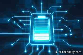 New Material Derived From Trees Could Pave Way for Better, Safer Batteries