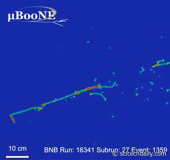 MicroBooNE Experiment: Investigating a Long-Standing Neutrino Mystery