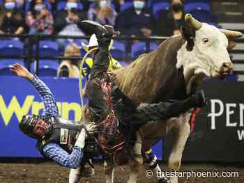 PHOTO GALLERY: Back in the saddle, PBR returns to Saskatoon - Saskatoon StarPhoenix