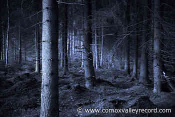 Spooky Scribbles Writing Contest: FALLEN IN THE WOODS - Comox Valley Record