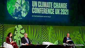 Countries vow to halt deforestation by 2030 at climate summit