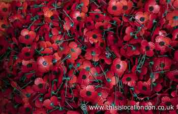 Remembrance Day: Why do we wear poppies?