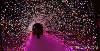 Where to see the best Christmas lights displays around Calgary (MAP) | Curated - Daily Hive