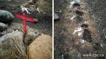 2 separate vandalisms in Calgary disrespectful, show 'dark history,' Indigenous educator says - CBC.ca