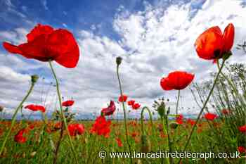 Remembrance Day 2021: Memorial events in Lancashire