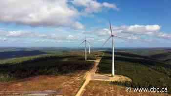 New wind farm generates money and hope for Neqotkuk First Nation
