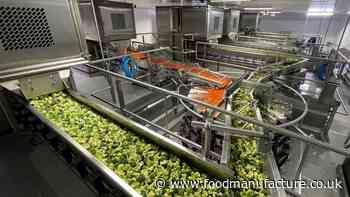 Fenmarc Produce secures £1.9m factory investment