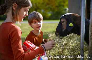 Aktionstag in Kernen - Warum regionale Landwirtschaft so wichtig ist - Stuttgarter Nachrichten