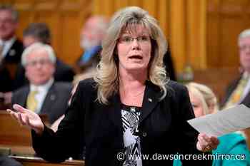 Losing candidate for Manitoba Tory leadership wants swearing-in delayed - Dawson Creek Mirror