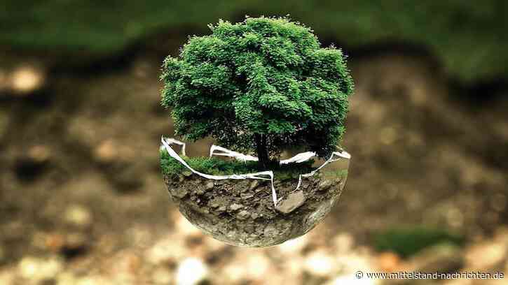 DBU startet Auswahlverfahren für den Deutschen Umweltpreis 2022