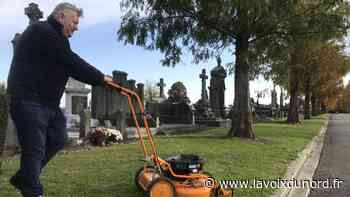 Arras engazonne les allées de son cimetière pour ne plus laisser champ libre aux mauvaises herbes - La Voix du Nord
