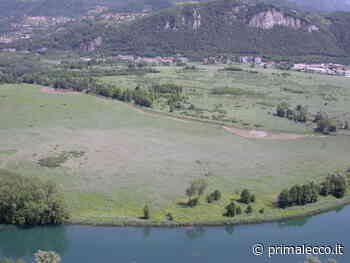 Alla scoperta della Palude di Brivio con Legambiente Lecco e Parco Adda Nord - Prima Lecco