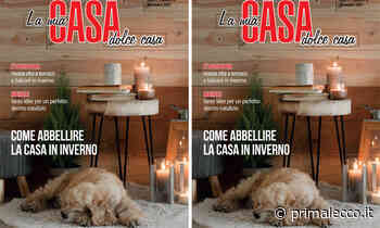 In arrivo col Giornale di Lecco La mia casa dolce casa, fra inverno, Natale e... ristrutturazioni! - Prima Lecco