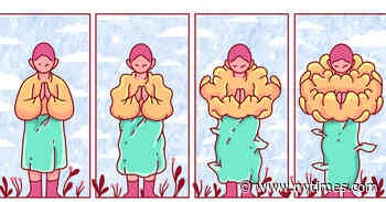 Is It Possible to Explain How Consciousness Works?