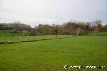 Natuurpunt en Radio 2 stippelen luisterwandeling uit in Burreken,