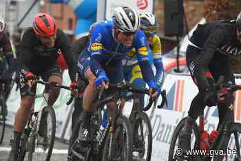 Uitgeweken Kempenaar Stijn Steels verlengt bij The Wolfpack: “Niet eens gedacht om met andere ploeg te gaan praten” - Gazet van Antwerpen