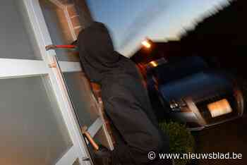 Inbrekers gaan aan de haal met planken (Westerlo) - Het Nieuwsblad