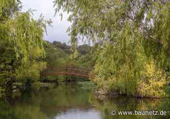 Landschafts-Stadt Austin - Ausstellung zu Miró Rivera Architects in Graz - BauNetz.de