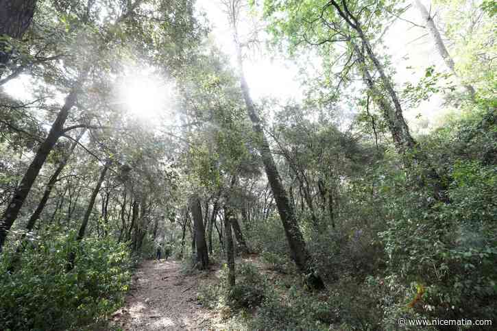 6 manières de réduire son empreinte carbone au quotidien (et les applis pour y arriver)