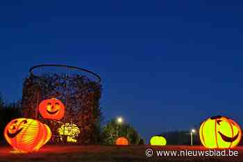 Reuzenpompoenen verlichten feeëriek Fietsenmonument