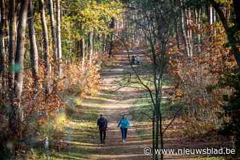Walk for Life voor Welzijnsschakel