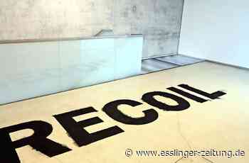 Jeewi Lee stellt in Ostfildern aus - Aus Baumasche wird Seife – und Kunst - esslinger-zeitung.de