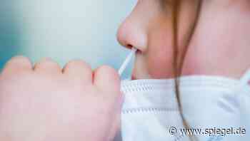 Bereits 14 PCR-Tests positiv: Corona-Ausbruch bei Kinder-Musical in Siegen - DER SPIEGEL