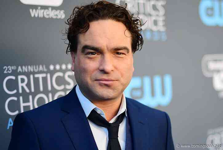 Johnny Galecki Developing ’90s Workplace Comedy for CBS