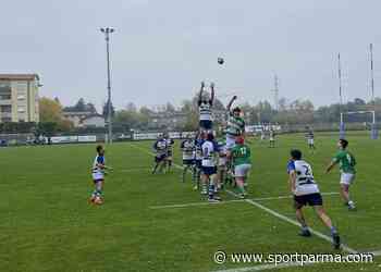 Prova di forza della Rugby Parma: 19-5 contro il Livorno - Sport Parma