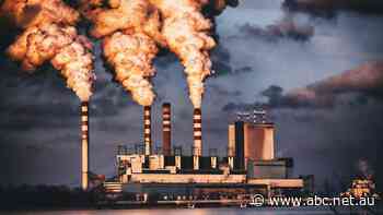 'Disappointing': Australia refuses to sign up to global commitment to cut methane emissions