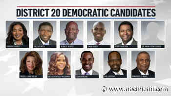 Crowded Field in Primary to Replace Hastings in South Florida's District 20