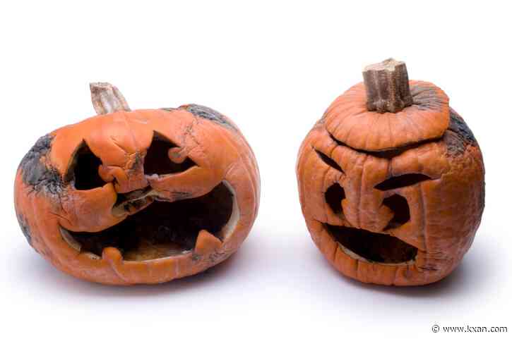 What should I do with my old pumpkin? Smash it, bury it, but don't trash it